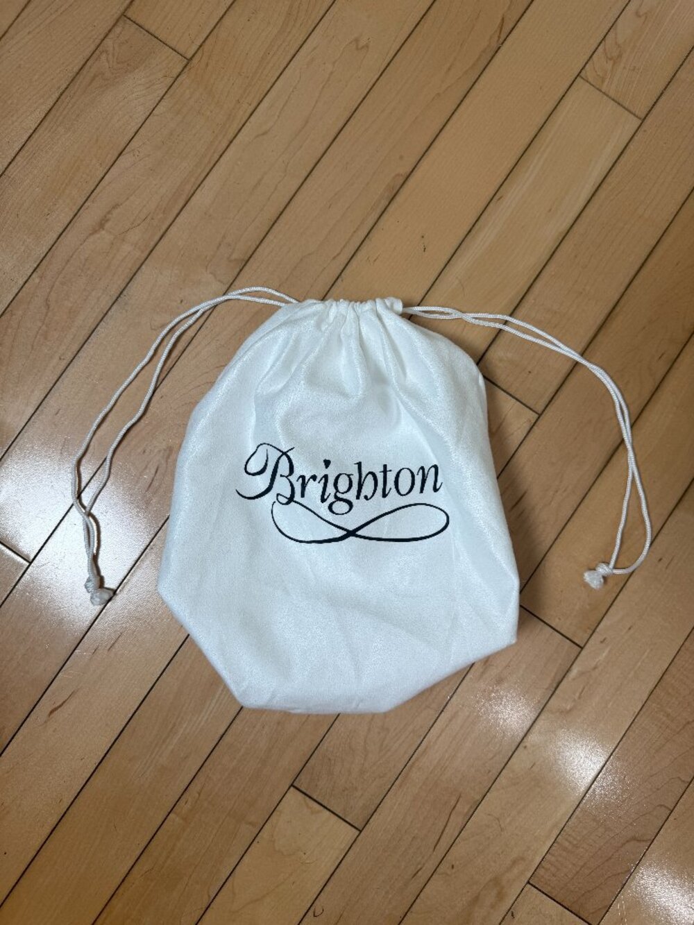 Brighton Collectibles Dust Purse Shoe Bag